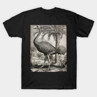 An Ostrich, Unknown T-Shirt